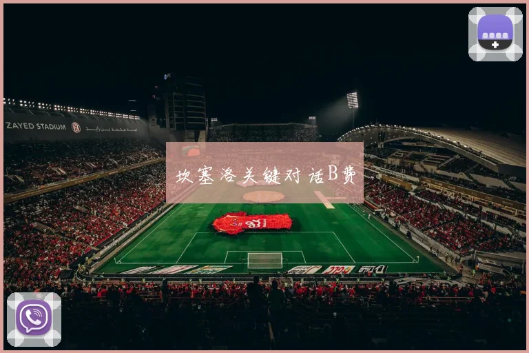 坎塞洛关键对话B费