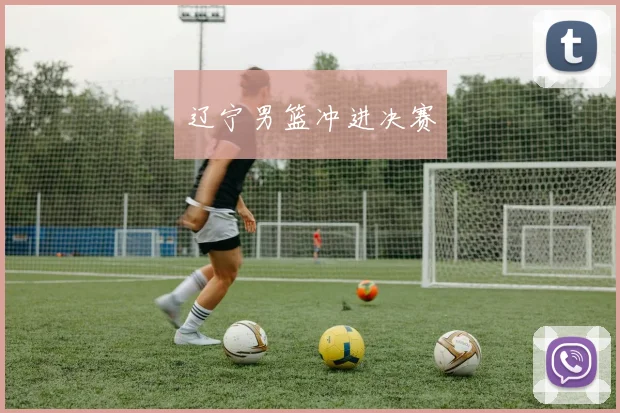 辽宁男篮冲进决赛