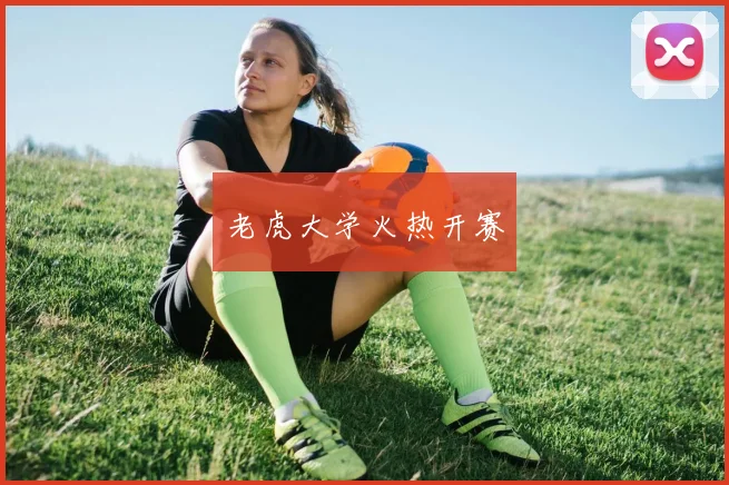 老虎大学火热开赛