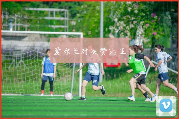 爱尔兰对决赞比亚