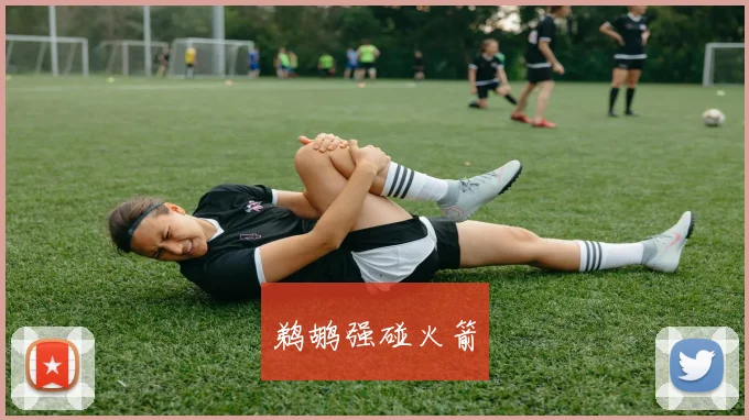 鹈鹕强碰火箭
