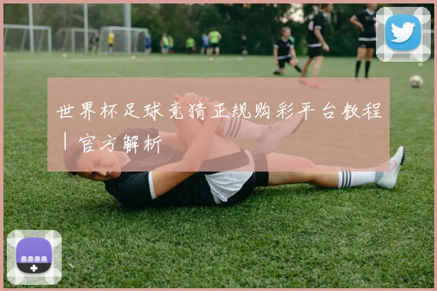 世界杯足球竞猜正规购彩平台教程｜官方解析