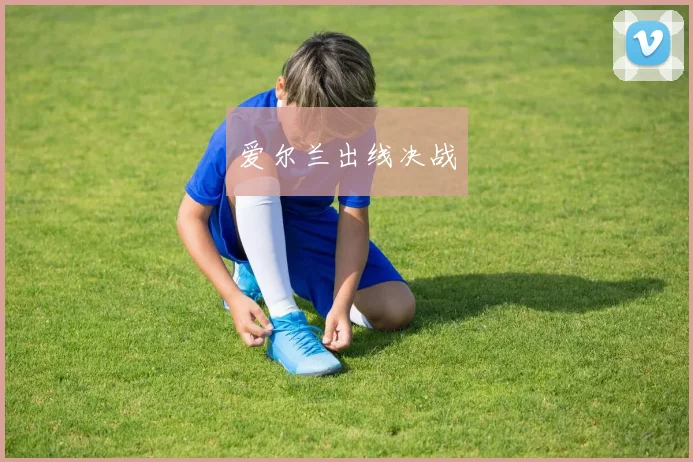 爱尔兰出线决战