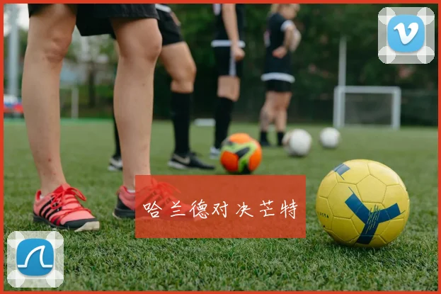 哈兰德对决芒特