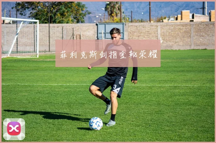 菲利克斯剑指金靴荣耀