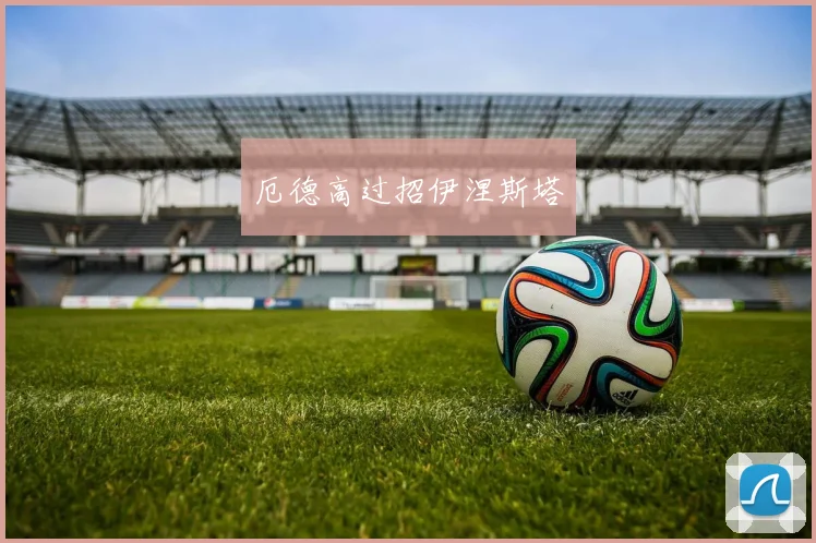 厄德高过招伊涅斯塔