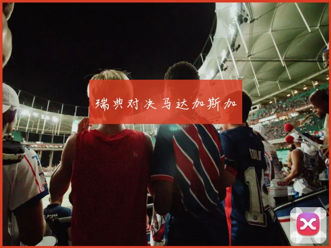 瑞典对决马达加斯加