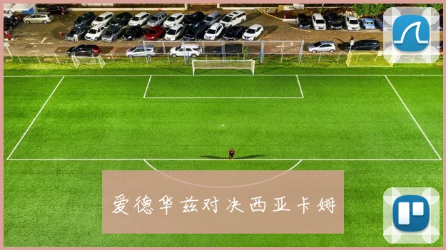 爱德华兹对决西亚卡姆