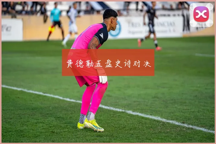 费德勒五盘史诗对决