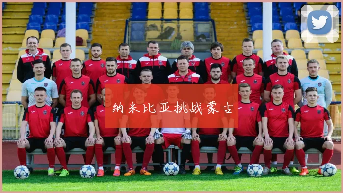 纳米比亚挑战蒙古