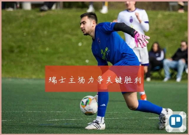 瑞士主场力争关键胜利