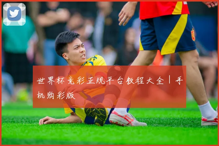 世界杯竞彩正规平台教程大全｜手机购彩版