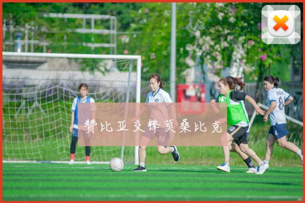 赞比亚交锋莫桑比克