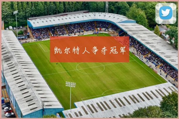 凯尔特人争夺冠军