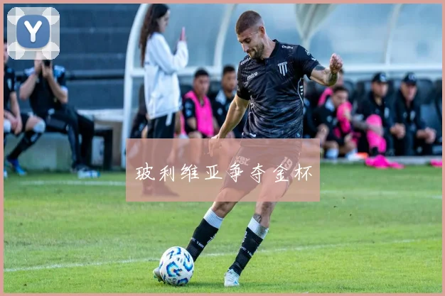 玻利维亚争夺金杯