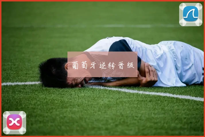 葡萄牙逆转晋级