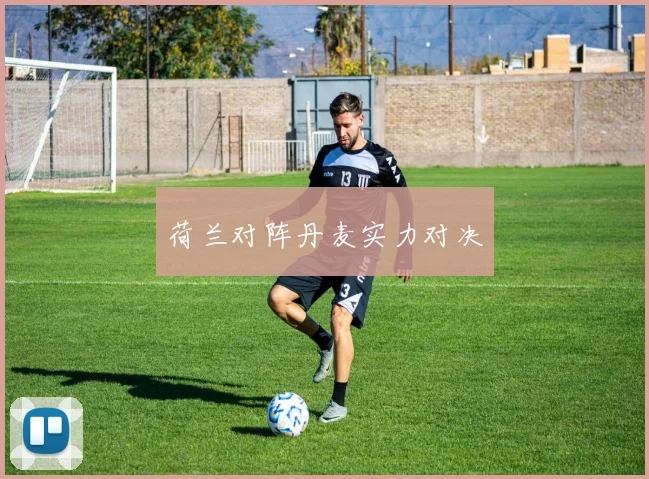 荷兰对阵丹麦实力对决