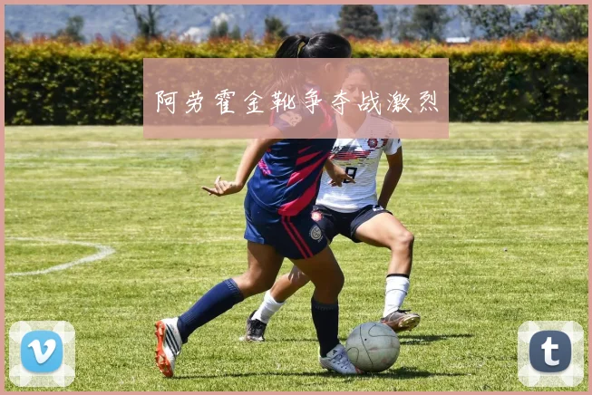 阿劳霍金靴争夺战激烈