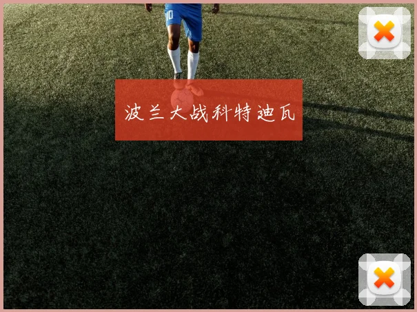 波兰大战科特迪瓦