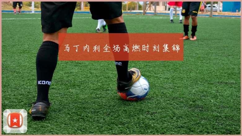 马丁内利全场高燃时刻集锦