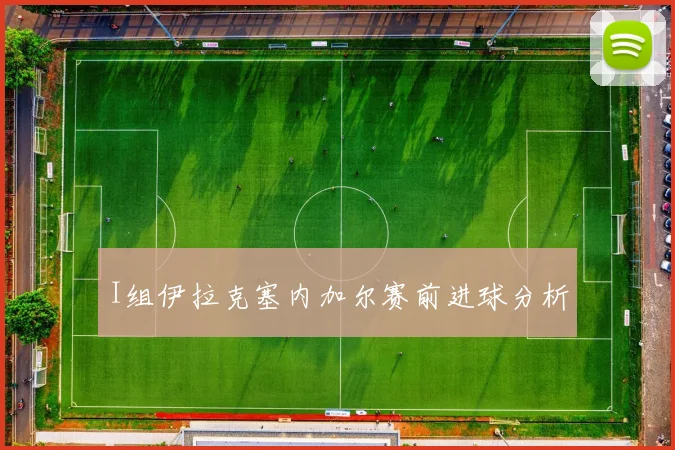 I组伊拉克塞内加尔赛前进球分析