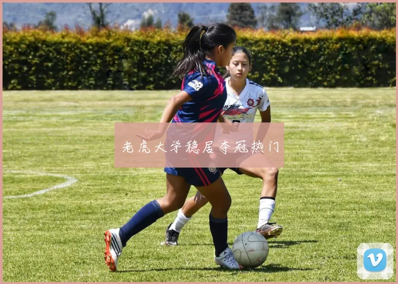 老虎大学稳居夺冠热门
