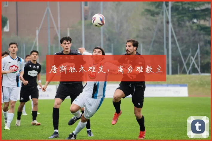 唐斯独木难支，高分难救主