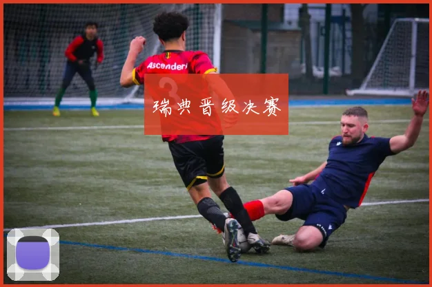 瑞典晋级决赛