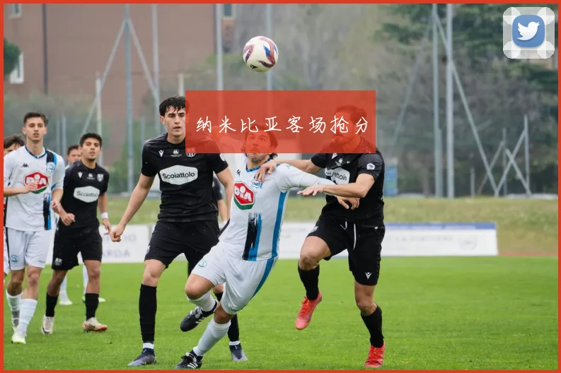 纳米比亚客场抢分