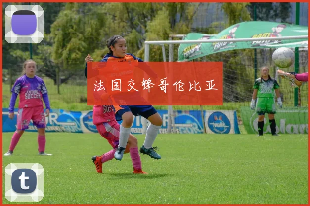法国交锋哥伦比亚