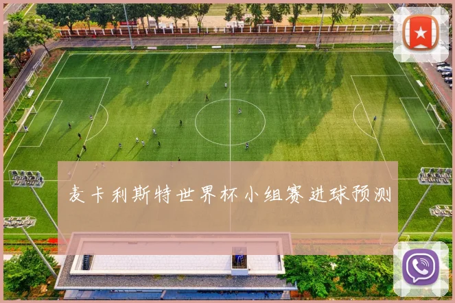 麦卡利斯特世界杯小组赛进球预测
