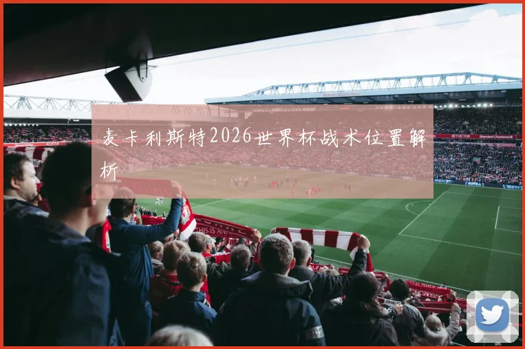 麦卡利斯特2026世界杯战术位置解析